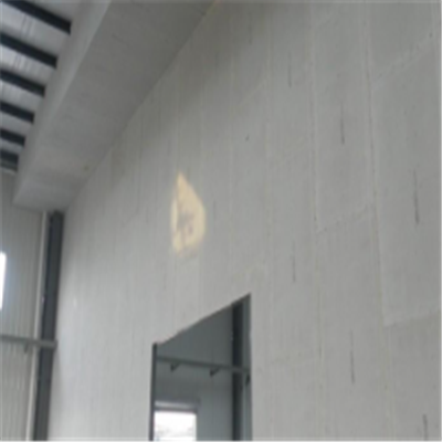 沙湾宁波ALC板|EPS加气板隔墙与混凝土整浇联接的实验研讨